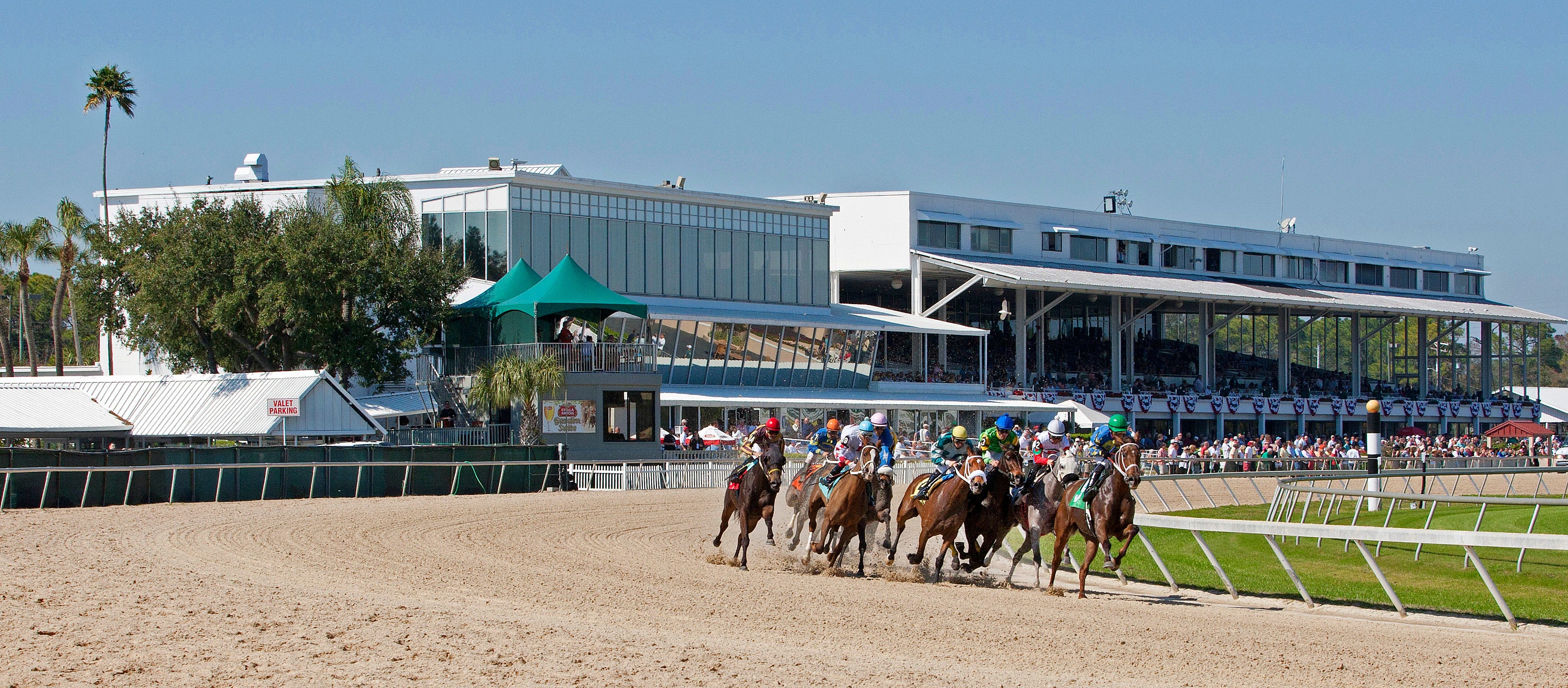 Tampa Bay Downs: New wrinkles should help increase handle, field size